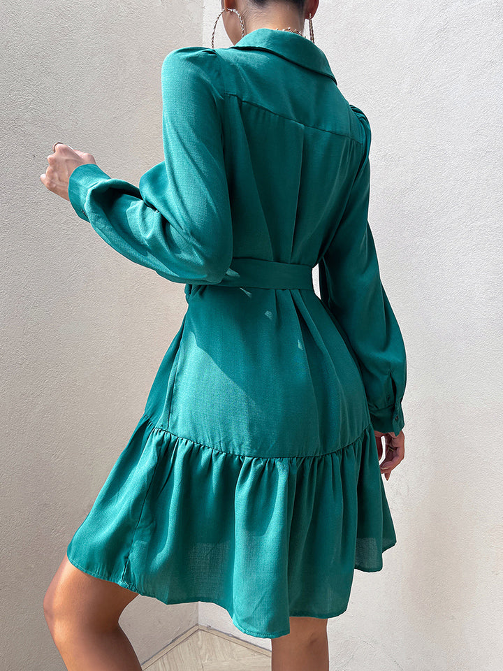 Collared Lantern Sleeve Mini Dress